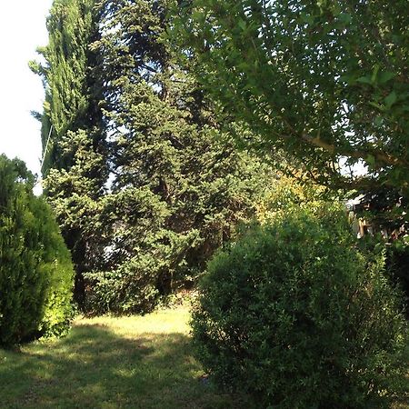 Il Belvedere Di Roccavo Villa Castiglion Fiorentino Bagian luar foto