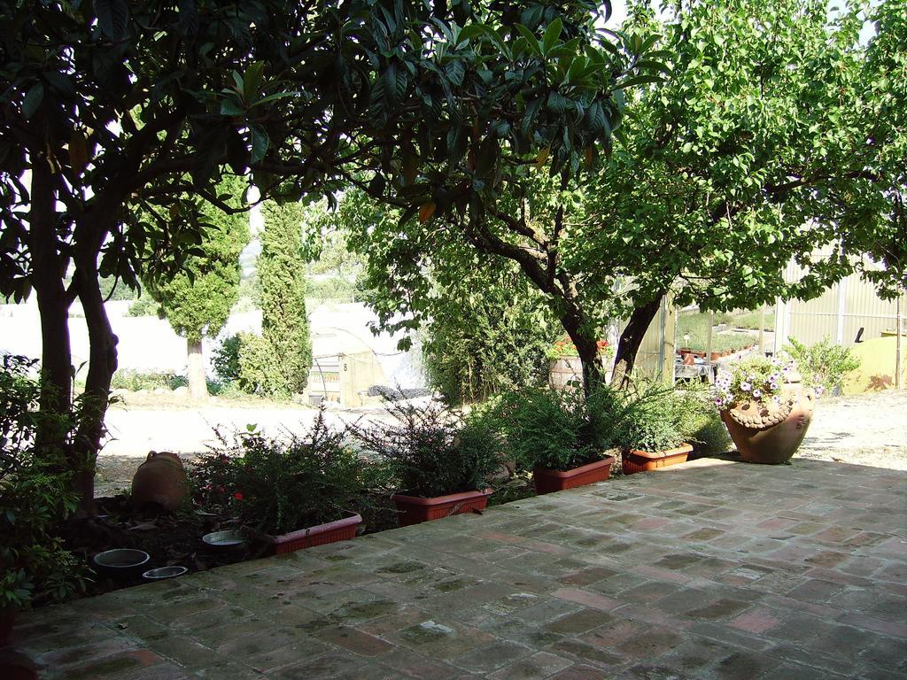 Il Belvedere Di Roccavo Villa Castiglion Fiorentino Bagian luar foto